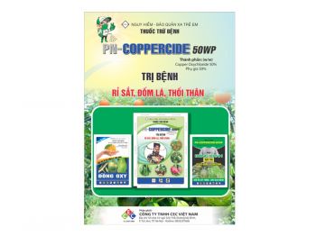 thuoc-tru-benh-pn-coppercide-50wp
