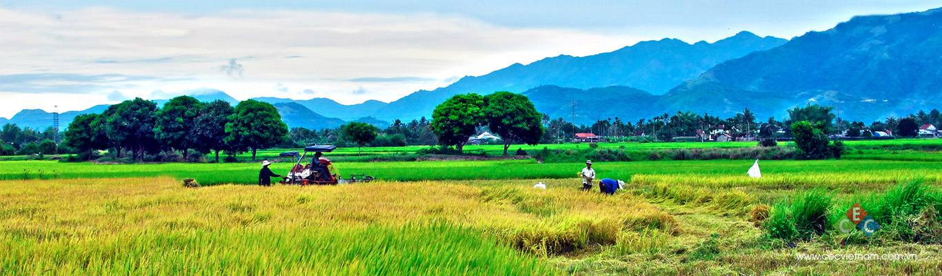 CEC Viet Nam co.,ltd