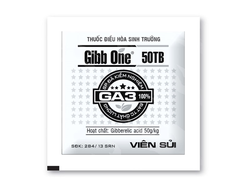 gibbone-50tb-20wp-40ec