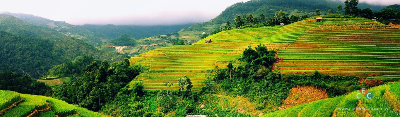 thuoc tru sau cec